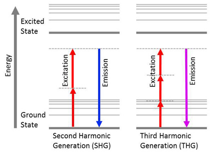 Jablonski diagrams showing multiple different NLO responses. Dashed lines indicate virtual states.