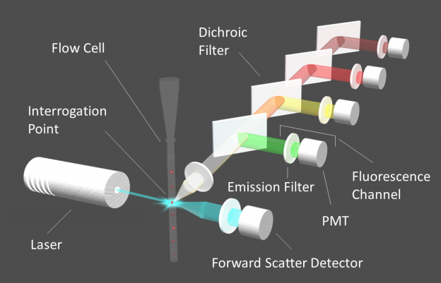 Figure 1: Diagram of a flow cytometer.