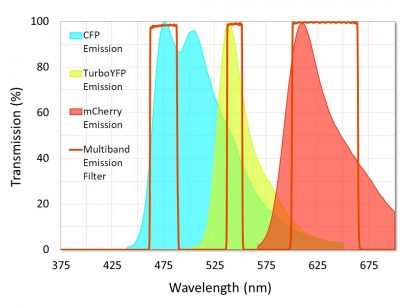 Example of a multiband emission filter that was designed to minimize crosstalk between fluorophores. Note that crosstalk in the second channel is unavoidable because of the emission spectra overlap between CFP and TurboYFP.